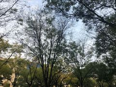 -簋街