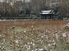 -莲湖公园