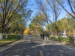 -石家庄市动物园