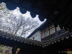 -拙政园