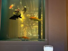 -琴寿司居酒屋(中山广场店)