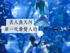 -南昌海洋公园