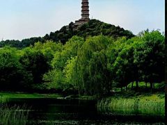 -北坞公园