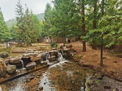 -白水寺森林公园