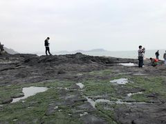 -漳州滨海火山岛自然生态风景区
