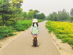 -门城湖公园