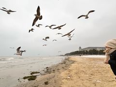 -ChanDu躔度咖啡(灯塔店)