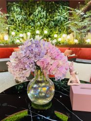 -花隐·美芙炫海菲秀皮肤管理中心