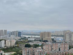 -福道