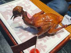 -大鸽饭(北京路店)