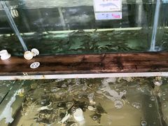 -钱大妈海鲜饭店(保利林语店)