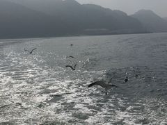 -大鹿岛