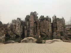 -秀丽东方