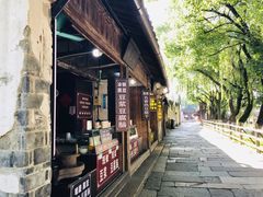 -乌镇东栅景区