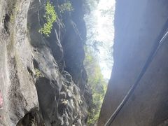 -黑河国家森林公园