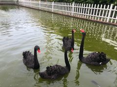 -六鳌翡翠湾滨海度假景区