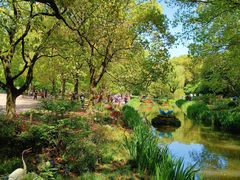 -上海共青森林公园