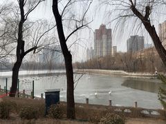 -迎泽公园