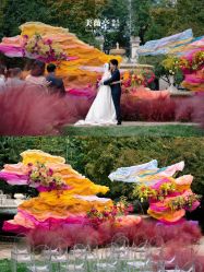 -美薇亭婚礼顾问