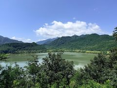 -黑河国家森林公园