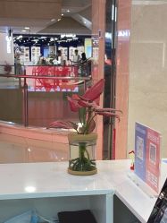 -时尚殿堂hair salon