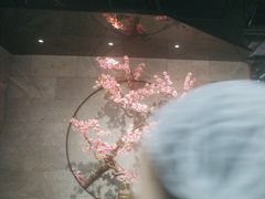 -呷哺呷哺 小火锅 (浦东新欧尚超市店)