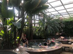 -南宫温泉水世界