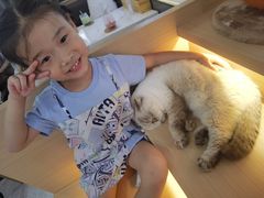 -喵园·猫主题咖啡厅·撸猫·猫咖(国贸店)