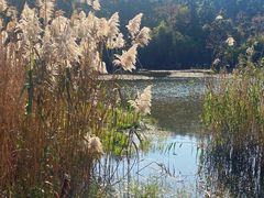 -南京市无想山景区