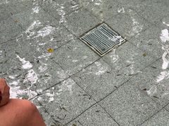 -碧水湾温泉