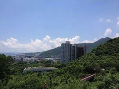 -东部华侨城
