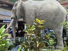 -万达广场(长沙开福店)