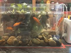 -一斗火锅·招财羊毛肚(泰吉滨江店)