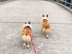-上海月湖雕塑公园
