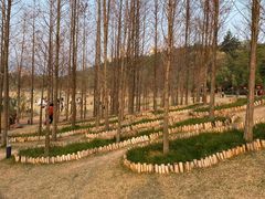 -牛岗山公园