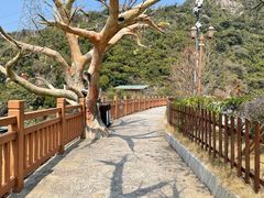 -黄腾峡天门悬廊