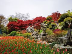 -上海鲜花港