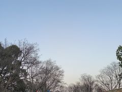 -翠湖公园