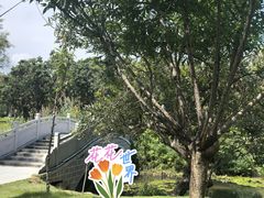 -四海公园(南山区)