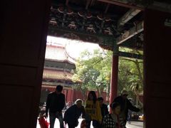 -阿瓦山寨(信地店)