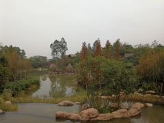 -美的鹭湖森林度假区