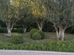 -元大都城垣遗址公园