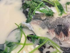 浓汤鱼头-老淳安—伴山伴湖(千岛湖开元度假村店)