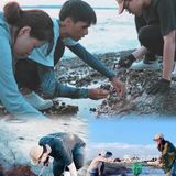 这样的赶海应该没有人不喜欢吧(2)图文篇🥰🥰🥰