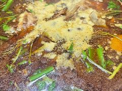 -新乡杨记红焖羊肉火锅(天坛南门店)