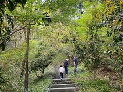 -杭州半山国家森林公园