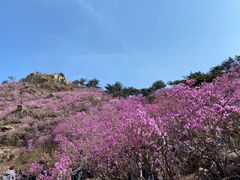 -青岛大珠山景区