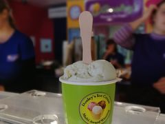 -Dooley's Premium Ice Cream