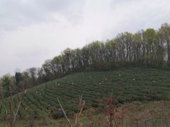 -南京市江宁方山