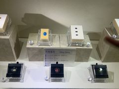 -安徽省地质博物馆